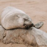 ocean-conference-1
